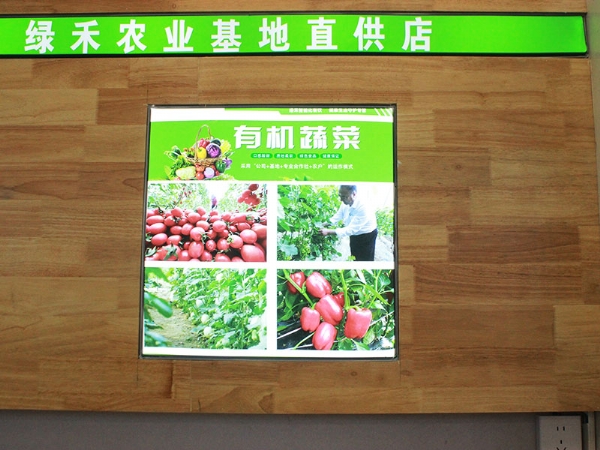 有機(jī)蔬菜